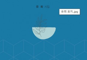 유희 대표사진